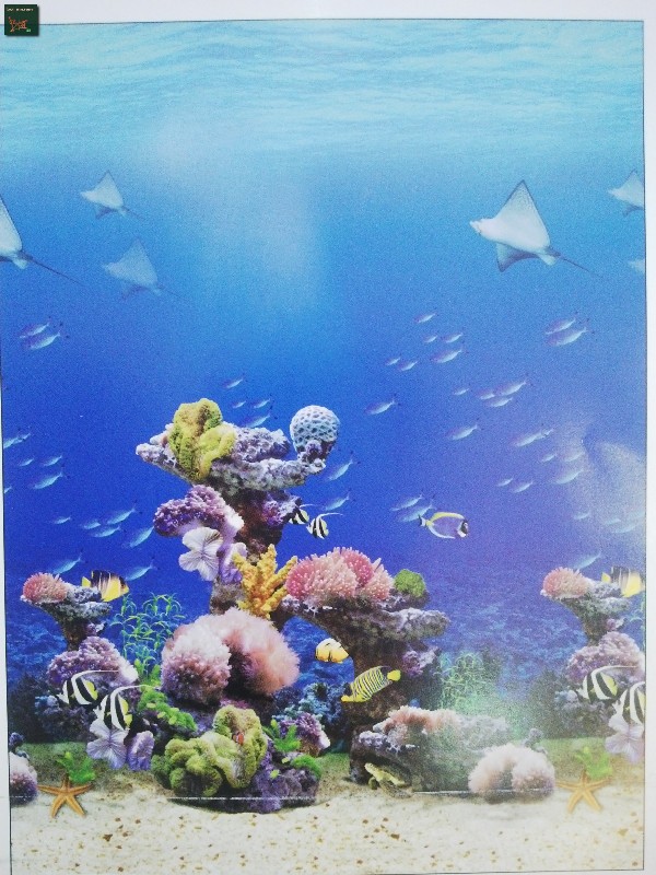 rèm cuốn in tranh rèm cuốn tranh