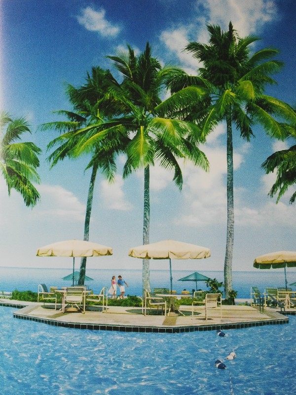 rèm cuốn tranh